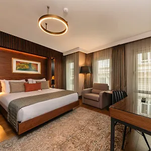 https://levni-plus-hotel.istanbul-turkeyhotels.com